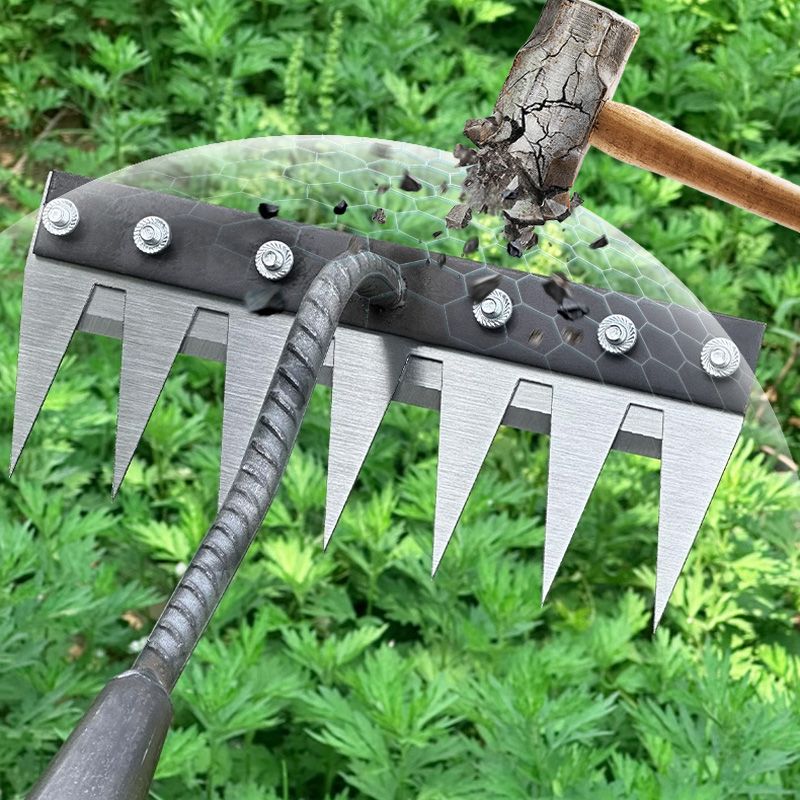 đ„erbjudanden tidigt pĂ„ höstenđ5/6/7/8 OgrĂ€skratta med trĂ€dgĂ„rdstĂ€nder i kolstĂ„l