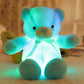 ⏳Descuento del 50 % por tiempo limitado⏰Osito de peluche, luz LED de colores, peluches🌈🧸