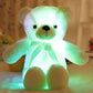 ⏳Descuento del 50 % por tiempo limitado⏰Osito de peluche, luz LED de colores, peluches🌈🧸
