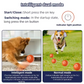 🎁Pelota interactiva Smart Pet Bounce🐶