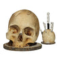 (🎃Promoción de rebajas🎃 49% de descuento)Portacuchillos Calavera Gótico