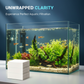 🐠 ¡COMPRA 1 Y LLÉVATE 1 GRATIS! ✨ TOALLITAS CLARIFICADORAS PARA ACUARIO - Agua cristalina en 24 horas, elimina olores e impurezas, seguras para todos los peces y plantas 🌿🔮