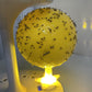 Bola Trampa Adhesiva para Moscas de la Fruta con Soporte y LED