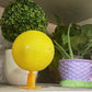 Bola Trampa Adhesiva para Moscas de la Fruta con Soporte y LED