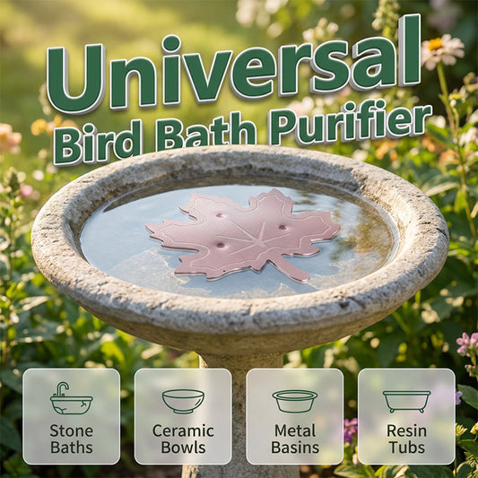 ⏰🔥 ¡50% OFF por tiempo limitado! 🐦 Purificador de Agua para Bebedero de Pájaros – Agua Limpia y Natural