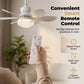 Ventilador de techo LED refrigerante 2 en 1