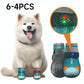 ⏳50% OFF⏰ Zapatos Perro Malla Transpirable – Diseño Luminoso, Protege sus Patitas de Nieve, Calor y Asfalto 🐶✨