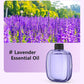 🌿✨ Difusor Automático de Aromaterapia – Fragancia Programada, Ambiente Relajante y Aire Fresco Todo el Día sin Esfuerzo 🕰️💨